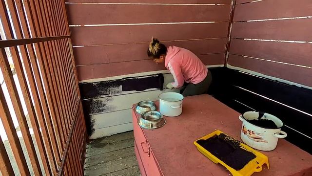 Волонтеры красят вольеры у собак | Фонд Умка смотреть онлайн