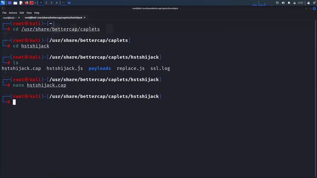 HSTS _ The Complete Ethical Hacking Course