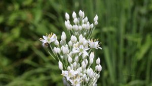 Теперь тебе ничего не достанется! Удивительные истории из жизни людей слушать. жизненные истории