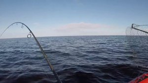 Рыбинское водохранилище 2.0 за рекордом и дождем