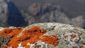 Большая прогулка по Крыму. Кизилташ (Краснокаменка) хххх -1