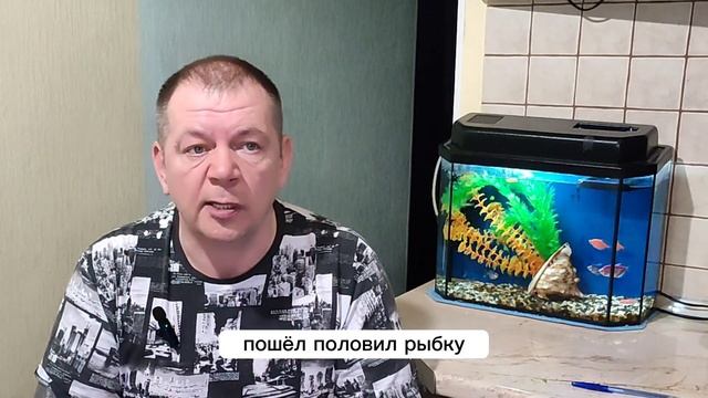 Мисайлово Trout. ТОП-10 Платных водоемов Московской области. #мисайловоtrout