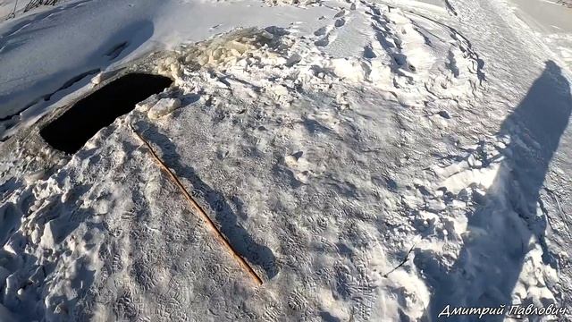 ОГРОМНЫЕ ЯЗИ И НЕ ТОЛЬКО! Рыбалка на паук в ледяной проруби!