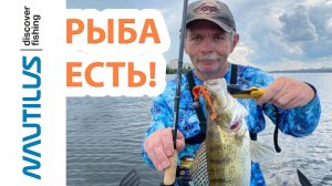 Константин Кузьмин. Ловля хищника на Воронежском водохранилище