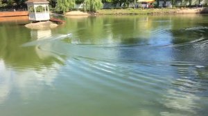 RC PRO BOAT Катер своими руками из ПВХ пластика 70см на пульте управления  первый запуск.