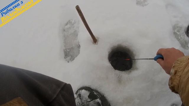 Капризна плотиця та окунь в лютому! Риболовля на мормишку з мотилем! Чому не клює риба?