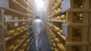 КУРЦЕВО 2023 / место куда стоит приехать, посмотреть и попробовать