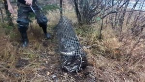 Как сохранить рыбу на длительной рыбалке.