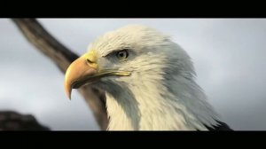 Assassins Creed[GMV]-Believer