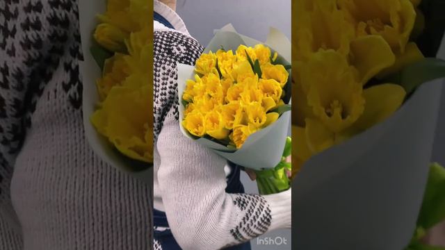 Букет из 25 желтых нарциссов