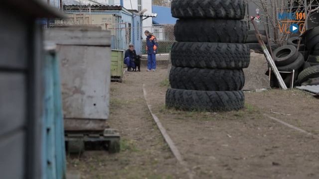 МЧС ВЛОГ: помощники спасателей СОБАКИ МЧС РОССИИ смотреть онлайн