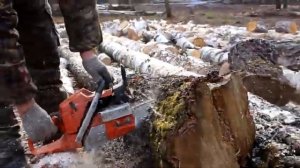 Husqvarna 365 вот Зачем Нужна на Дровах. Пилим берёзовые комли.