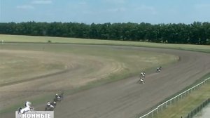 Бега на Воронежском ипподроме 26.06.2016