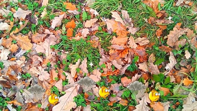 Осенний Листопад!!!??????? смотреть онлайн