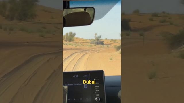 Dubai Desert Safari | Arabian Adventure | Dubai | UAE | Zulhas Kabir