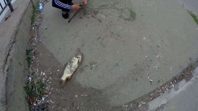 Весенняя Рыбалка в Астрахани смотреть онлайн