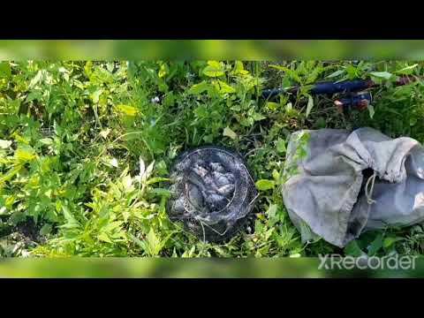 Итог рыбалки на лесном озере на карася. До последнего червя!!! смотреть онлайн