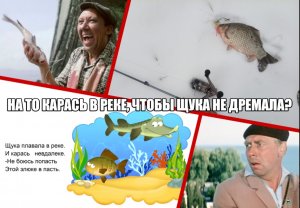 На то карась в реке, чтобы щука не дремала?