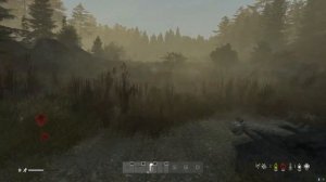 DayZ Xимическое отравление лечение без антидота  для новичков