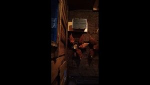 Бункерная кормушка для кур своими руками