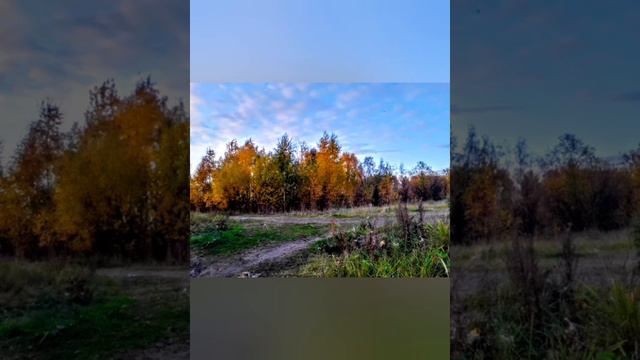 Путешествие по Архангельску