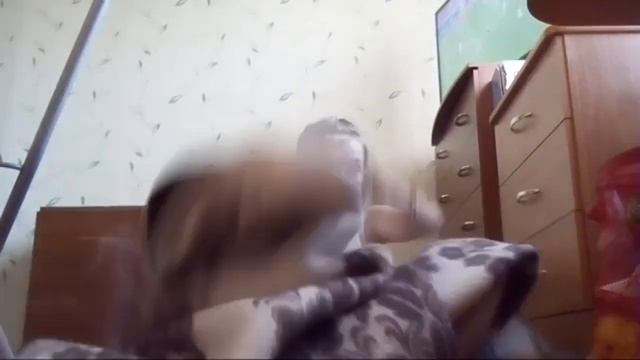 Мой Домик Из Покрывал