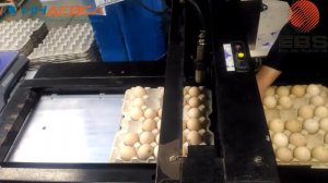 Маркировка яиц // каплеструйный принтер