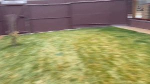 Гепард Герда изучает новинки на участке!