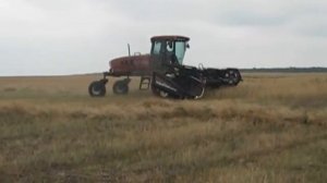 Самоходная косилка MacDon (Канада)