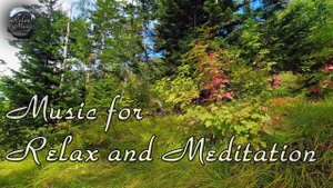 Расслабляющий Дудук и умиротворяющий вид леса / Музыка для отдыха и медитации