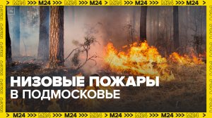 Низовые пожары возникли в Подмосковье - Москва 24