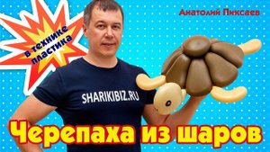 Черепаха из шаров