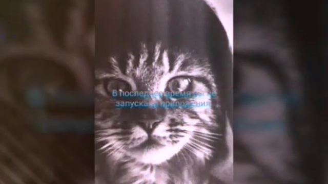 Вот как быстро зарядить телефон или планшет!