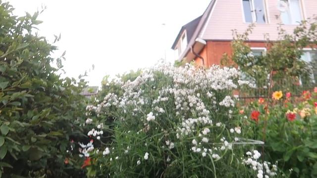 ЗВЕРОДЕТИ НАШЛИ ЗАПРЕЩЁНКУ В ЛАГЕРЕ И ПОДСМОТРЕЛИ ЗА ВОЖАТЫМИ смотреть онлайн