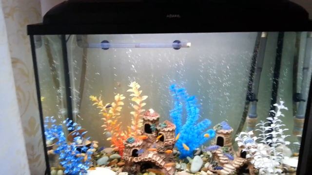 Распылитель из капельницы своими руками смотреть онлайн