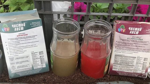 Як обирати добрива для квітів | Показую на прикладі смотреть онлайн