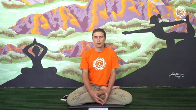 Асаны. Какой в них смысл. Антон Чудин смотреть онлайн