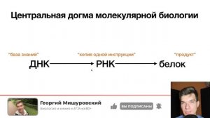 2.59. Центральная догма молекулярной биологии | Цитология к ЕГЭ | Георгий Мишуровский