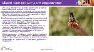 Занятие 2 Перечная мята - новый поток курса «Семейная Аптечка Эфирные масла в каждый дом»!