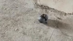 ВОЙНЫ БУДУЩЕГО!.