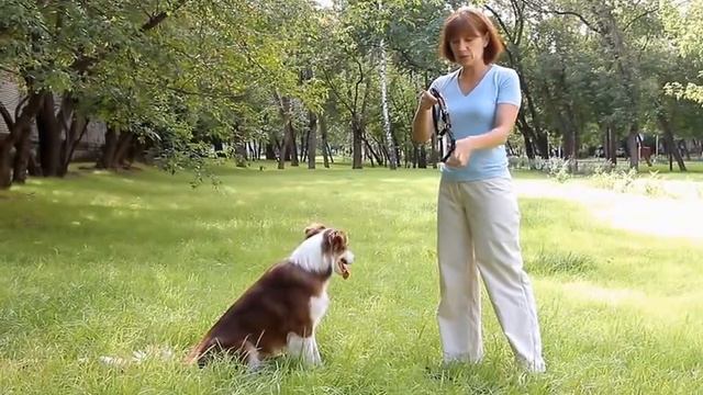 Шлейка корректирующая OSSO инструкция wmv смотреть онлайн