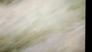 Нюрдор - Котья. Осень. Время копать картошку 1997г