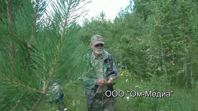 Наконец то тайна пяти озер разгадана смотреть онлайн