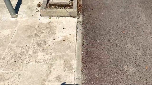 Албания. Жизнь в некогда закрытой стране