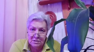 713. Цитокининовая паста. Знакомьтесь!