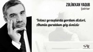 Zəlimxan Yaqub - DÜNYA / öz səsi ilə / şeirlər #zelimxanyaqub