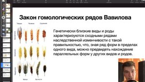 Закон гомологических рядов Вавилова | Биология ЕГЭ