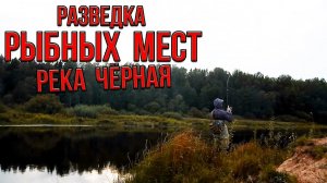 Разведка Рыбных Мест/Рыбалка На Спиннинг/Окунь На Речке/Осеняя Рыбалка На Щуку И Окуня