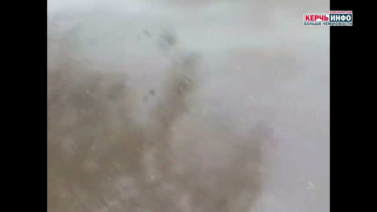 «И снова здравствуйте»: двор на Горбульского вновь заливает канализацией смотреть онлайн