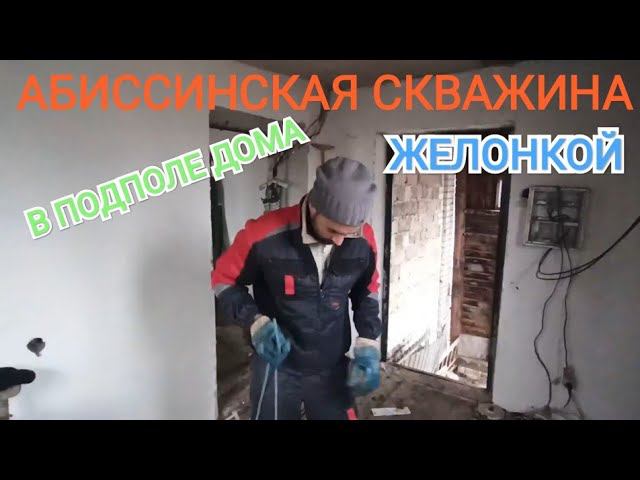 АБИССИНКА В ДОМЕ.ЖЕЛОНКОЙ#бурениескважин#скважинаигла #желонка#своявода